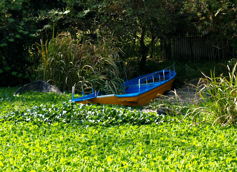 �̹����� Ŭ���ϸ� ������ ���� �� �ֽ��ϴ�.