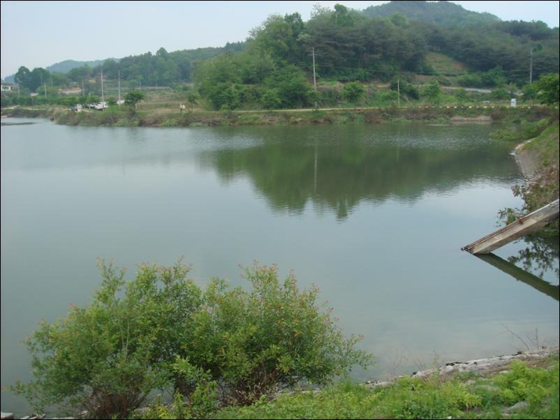 감천지 이미지