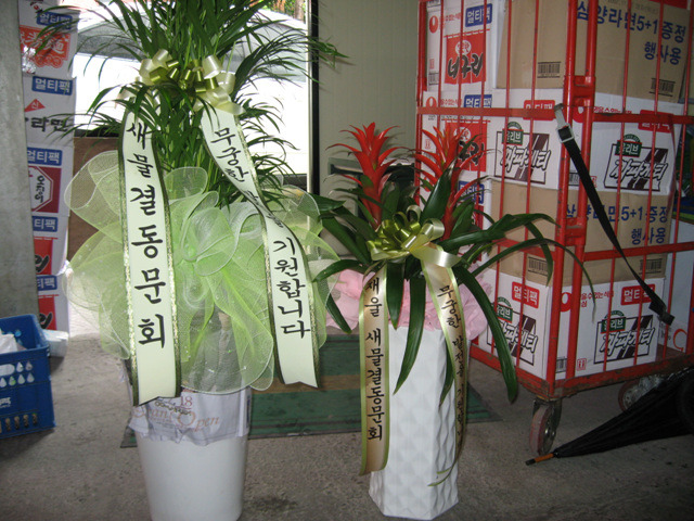 드림할인마트 이미지