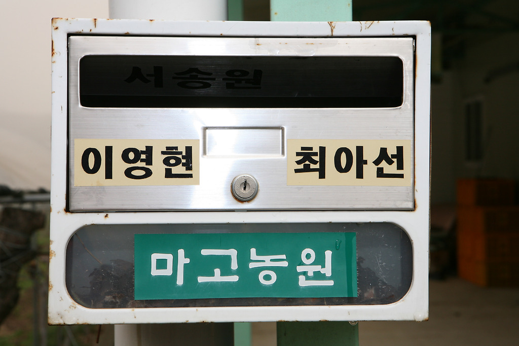 마고농원 이미지