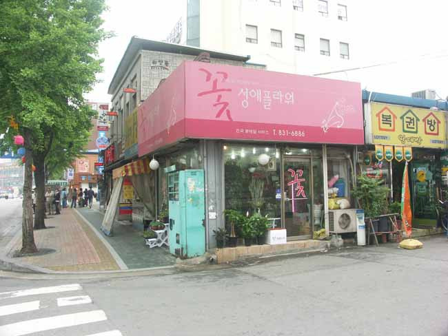성애플라워 이미지