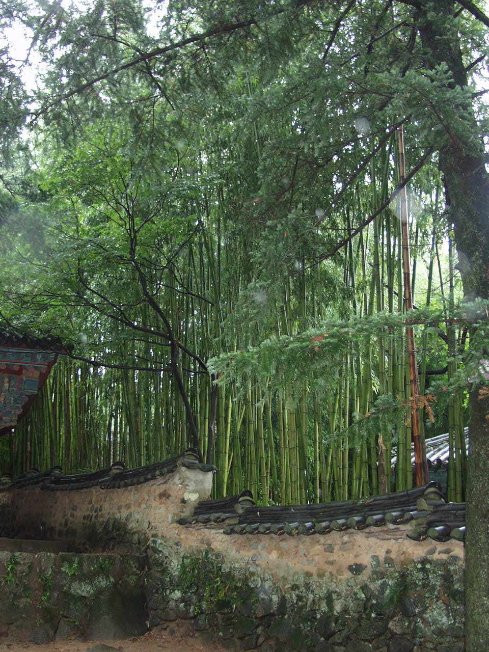 �̹����� Ŭ���ϸ� ������ ���� �� �ֽ��ϴ�.