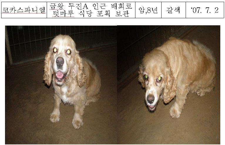 두진축산 이미지