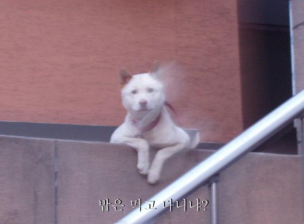 나도 이미지