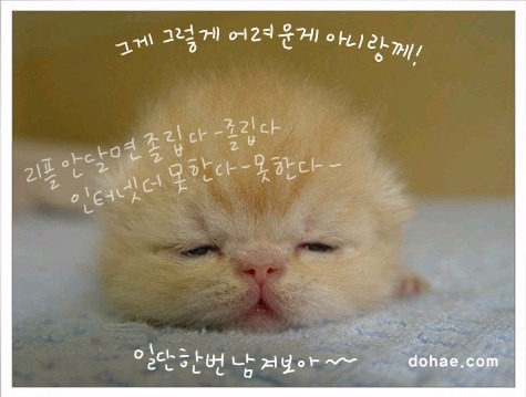 피식 이미지