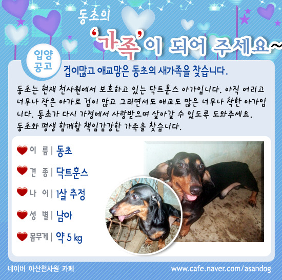 추련 이미지