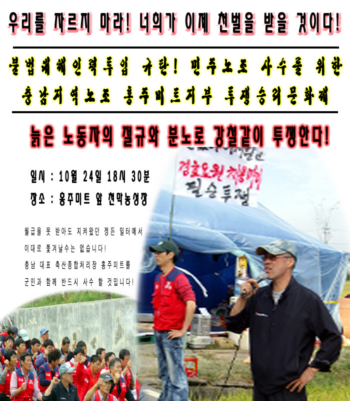 홍주미트 이미지