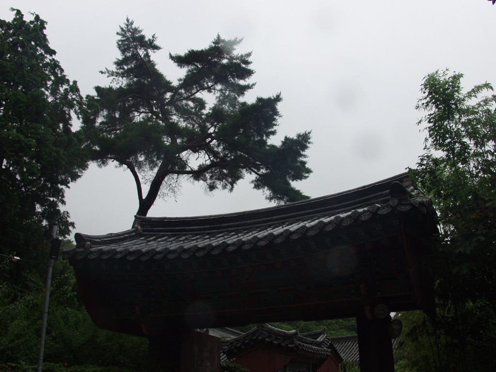 �̹����� Ŭ���ϸ� ������ ���� �� �ֽ��ϴ�.