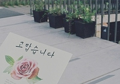 이*렬 이미지