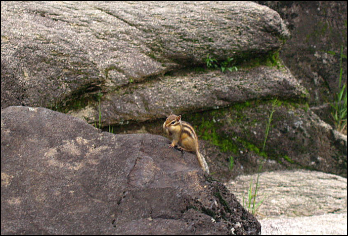 À̹ÌÁö¸¦ Ŭ¸¯ÇÏ¸é ¿øº»À» º¸½Ç ¼ö ÀÖ½À´Ï´Ù.